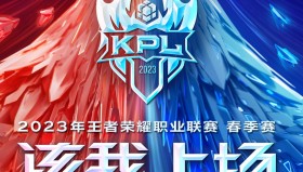 限定皮肤巅峰之作：雪境奇遇系列技能特效解析，收藏价值与游戏文化的完美融合